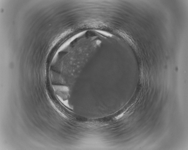 X0000085840630200704091724