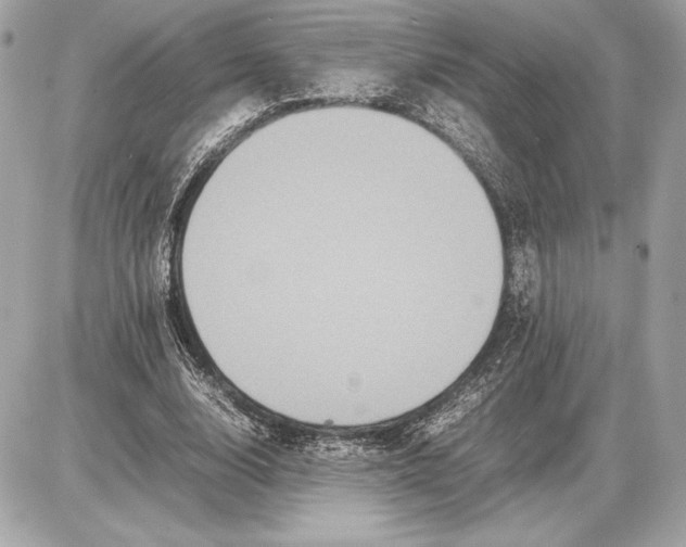 X0000085840632200704091724