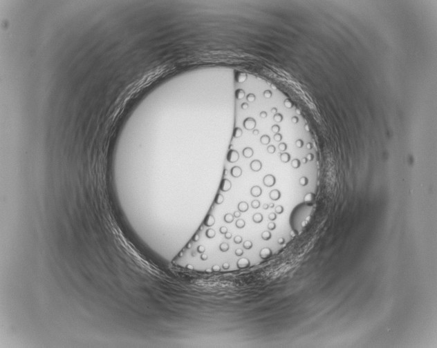 X0000085840633200704091724