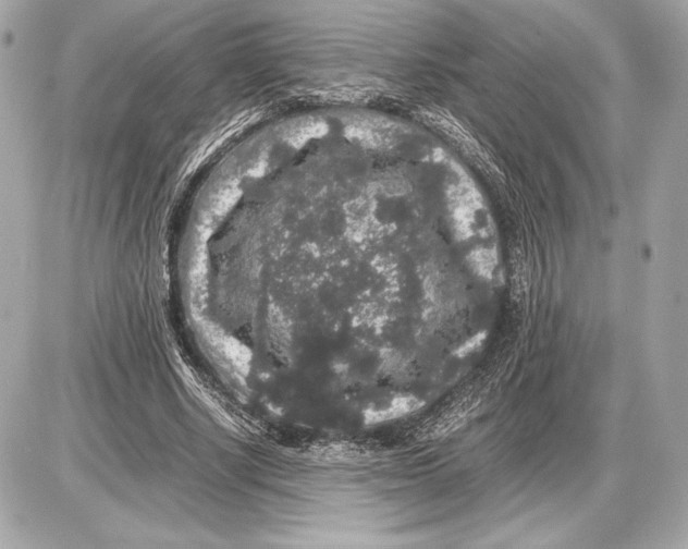 X0000085840634200704091724