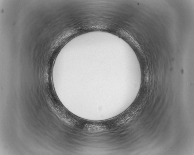 X0000085840635200704091724