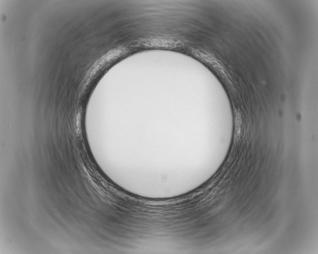 X0000085840636200704091724