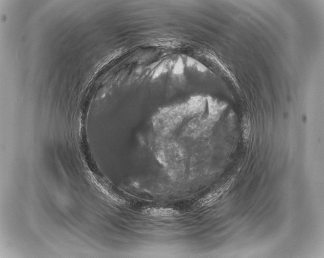 X0000085840637200704091724