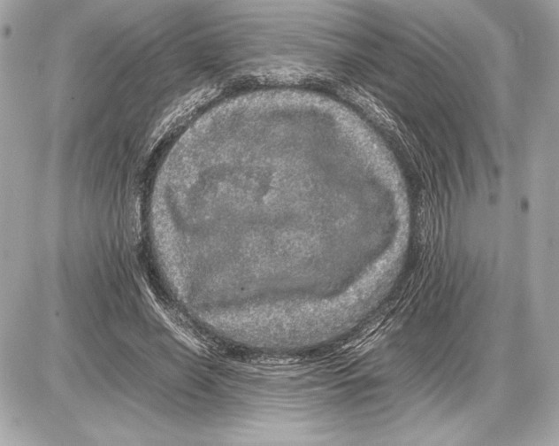 X0000085840638200704091724