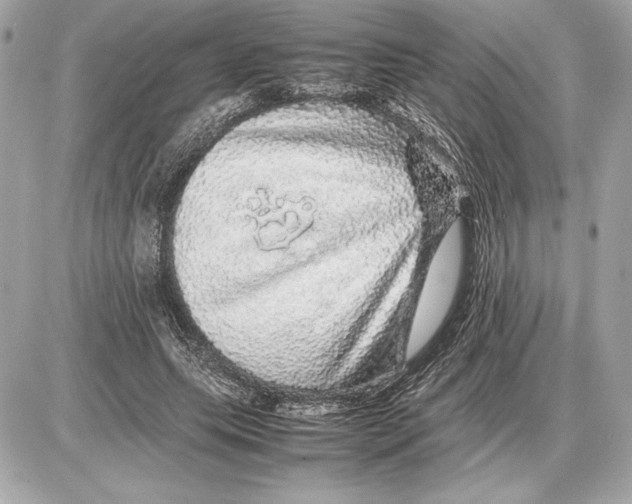 X0000085840639200704091724