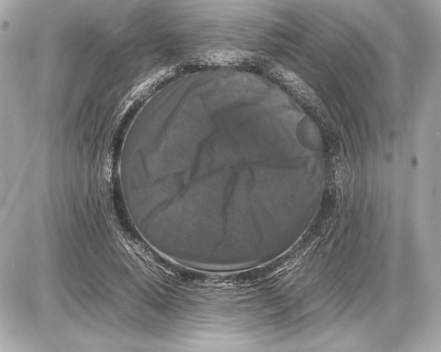 X0000085840640200704091724