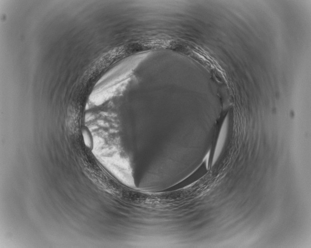 X0000085840641200704091724