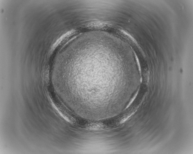 X0000085840642200704091724