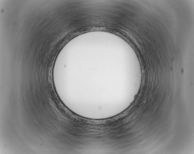 X0000085840643200704091724