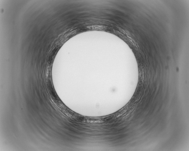 X0000085840645200704091724