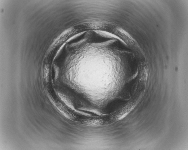 X0000085840646200704091724