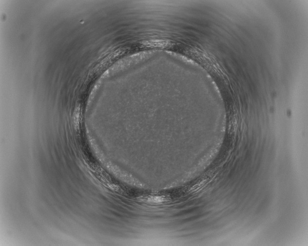 X0000085840647200704091724