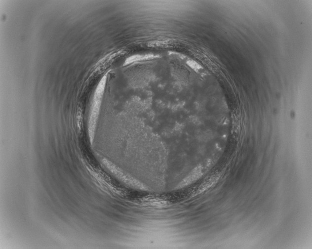 X0000085840648200704091724