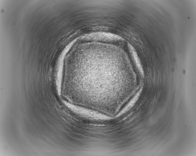 X0000085840649200704091724