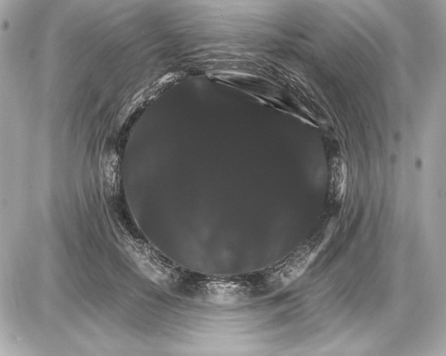 X0000085840650200704091724