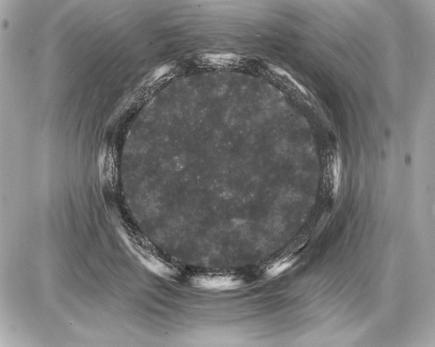 X0000085840651200704091724