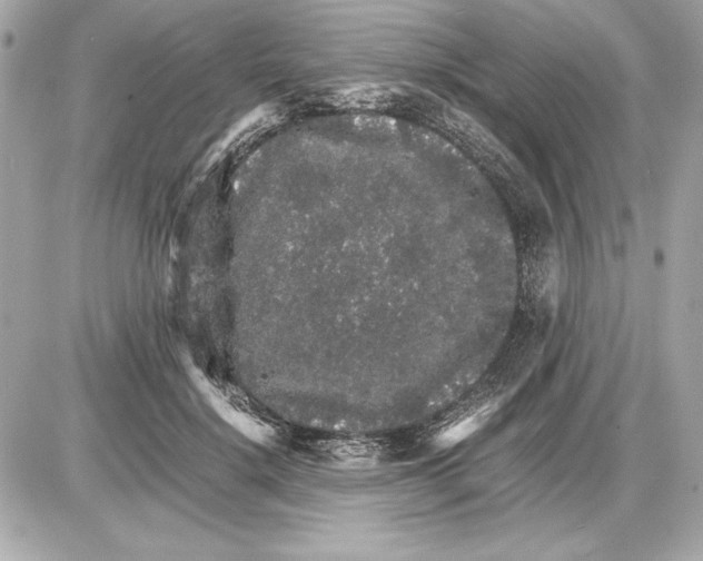 X0000085840652200704091724