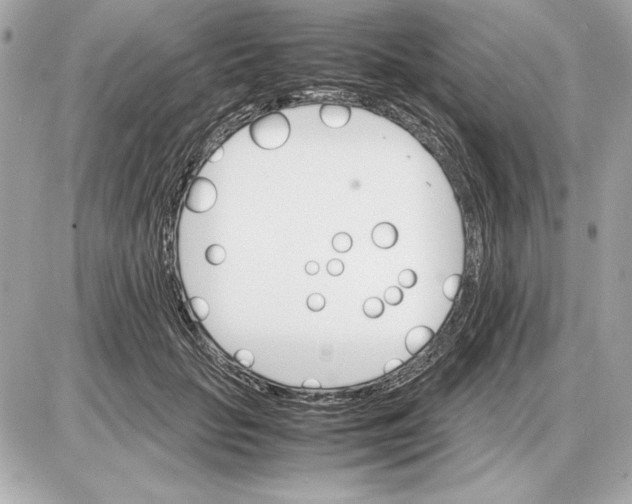 X0000085840653200704091724