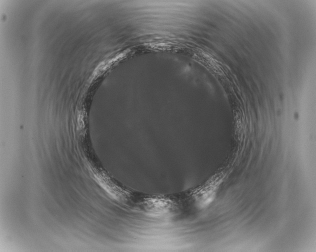 X0000085840654200704091725