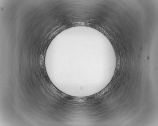 X0000085840656200704091725