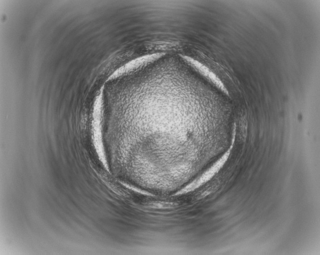 X0000085840657200704091725