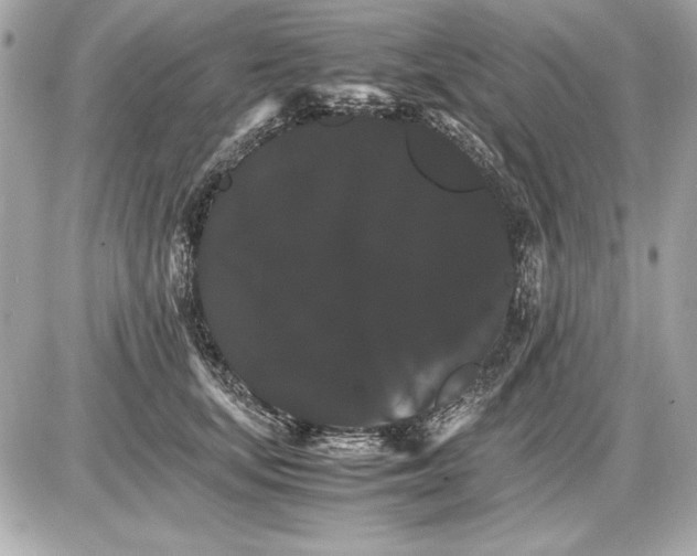 X0000085840659200704091725