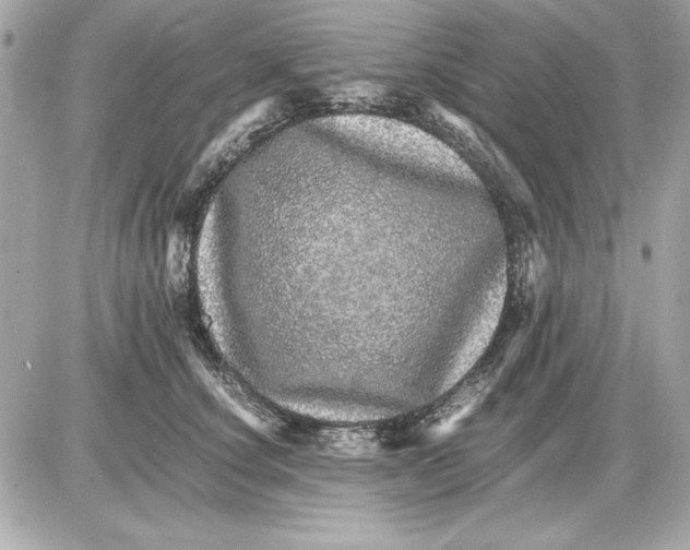 X0000085840660200704091725