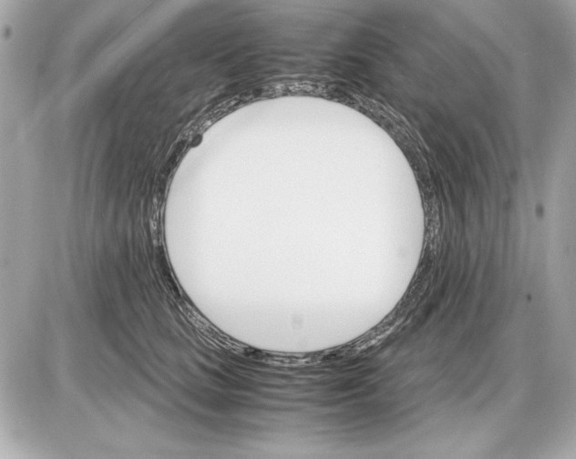 X0000085840661200704091725