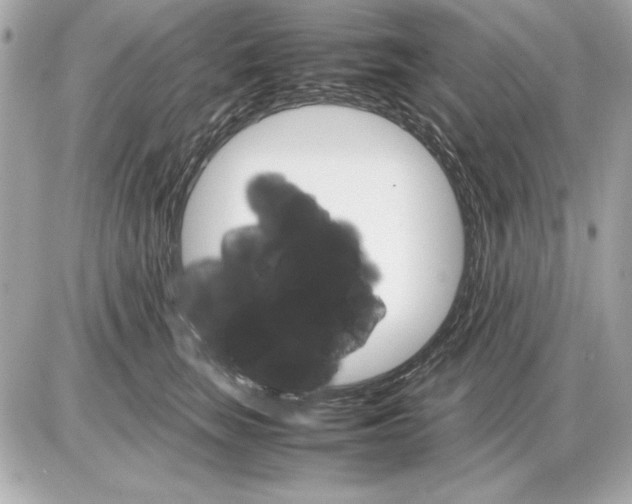 X0000085840663200704091725