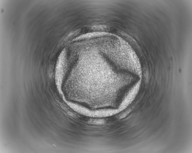 X0000085840665200704091725