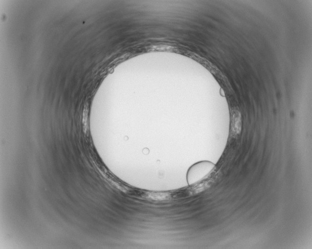 X0000085840666200704091725