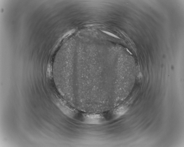 X0000085840669200704091725