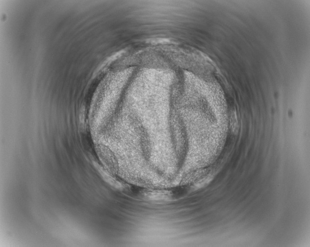 X0000085840670200704091725