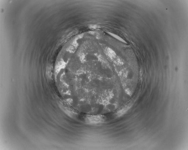 X0000085840671200704091725