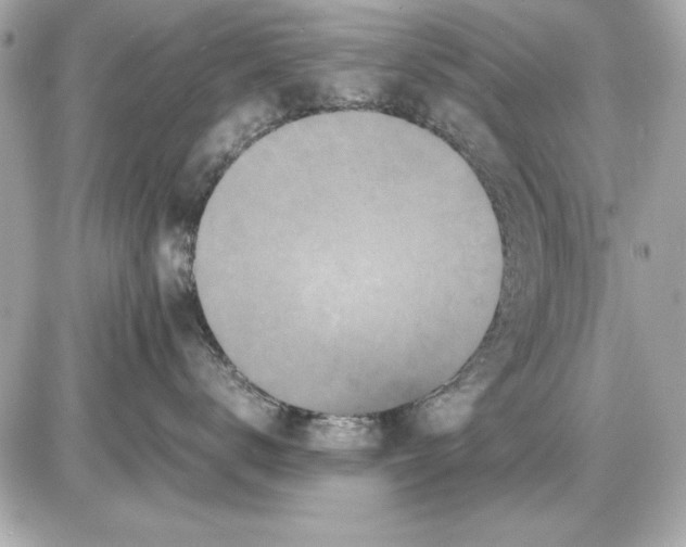 X0000085840672200704091725