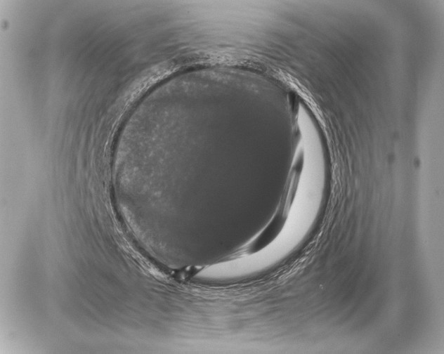 X0000085840673200704091724