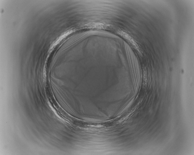 X0000085840674200704091724