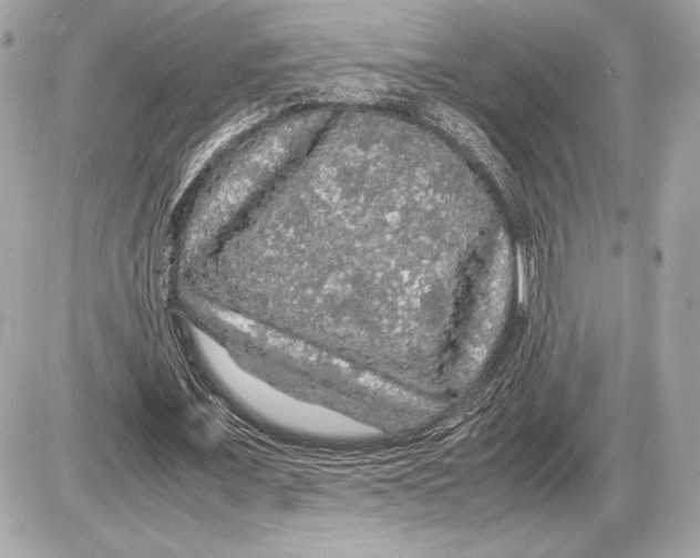 X0000085840675200704091724