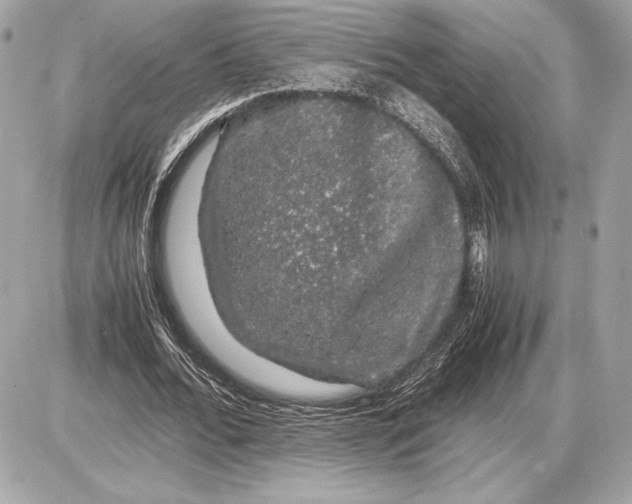 X0000085840676200704091724