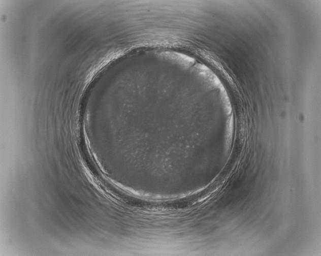 X0000085840677200704091724