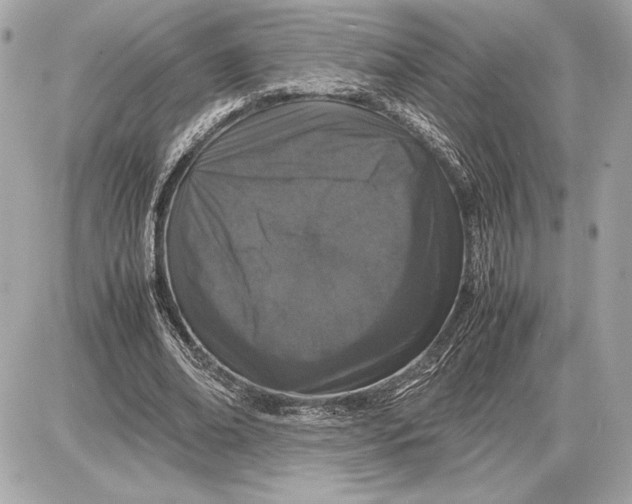 X0000085840678200704091724