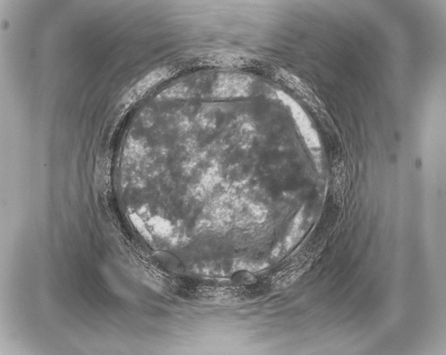 X0000085840679200704091724