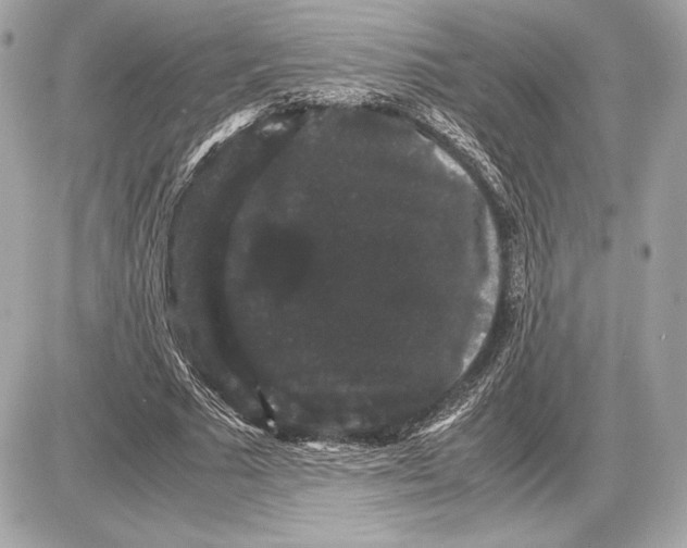 X0000085840681200704091724