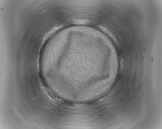 X0000085840682200704091724