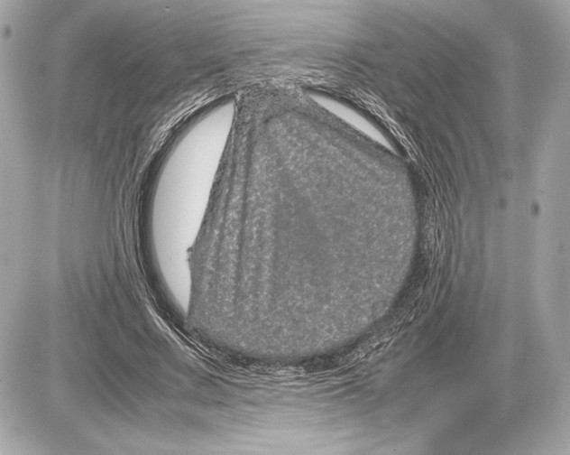 X0000085840683200704091724