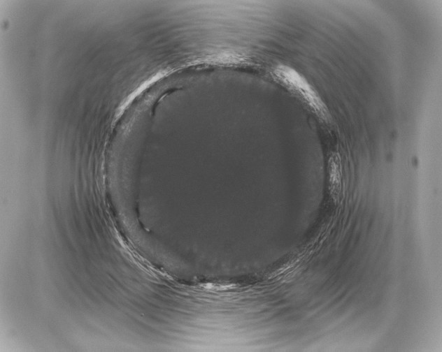 X0000085840684200704091724