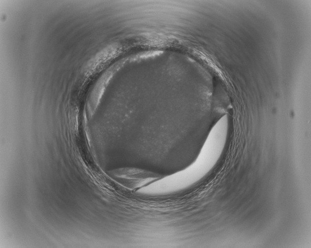 X0000085840685200704091724