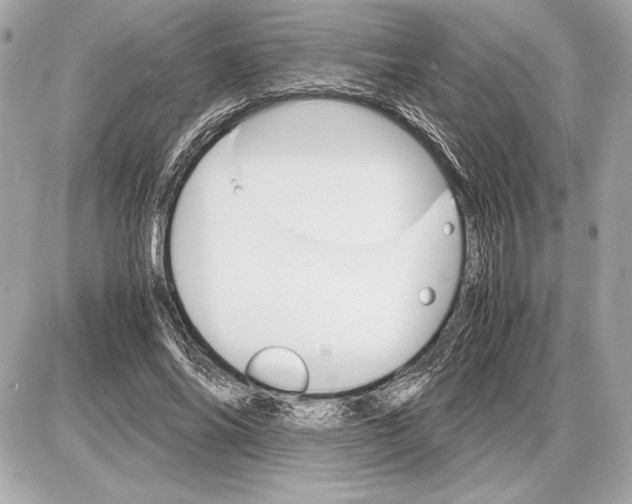 X0000085840686200704091724