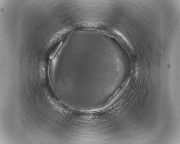 X0000085840688200704091724