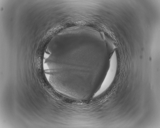 X0000085840689200704091724